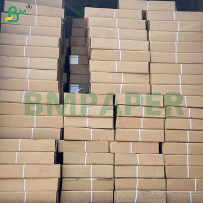 Baskı için 80gsm Çift Taraflı Beyaz CAD Plotter Kağıt Ruloları