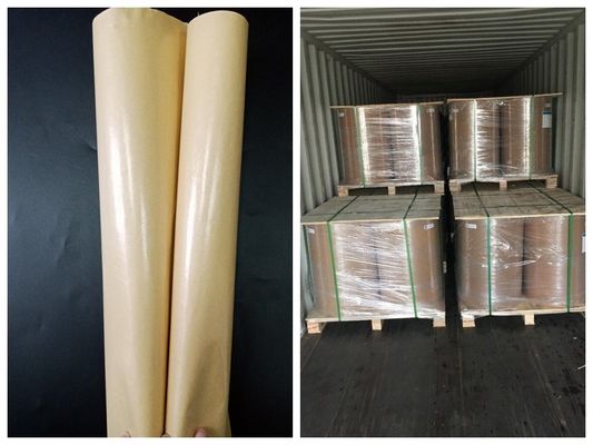 Bir Taraf PE Öğle Yemeği Kutusu FSC ve FDA Belgeli İçin Gıda Sınıfı Kağıt Rulo Kaplı