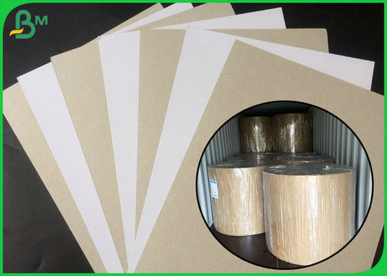 FSC Sertifikalı Kaplamalı Çift Yönlü Tahta Beyaz Taraf, Gri, Büyük Rulo Ambalajında ​​Geri