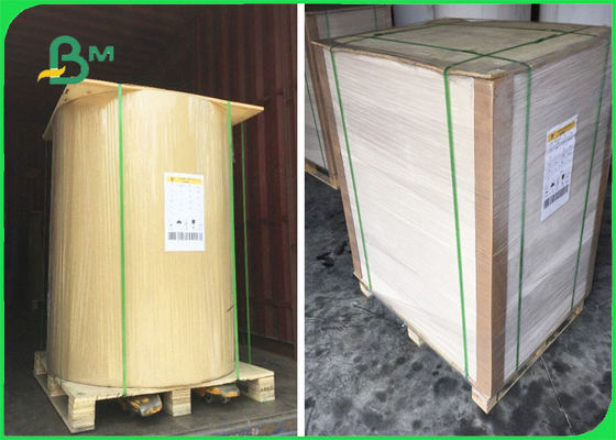 FSC Sertifikalı Flip Side Kraft Kağıt Yaprak Tek Taraflı Beyaz 32 × 40 ''