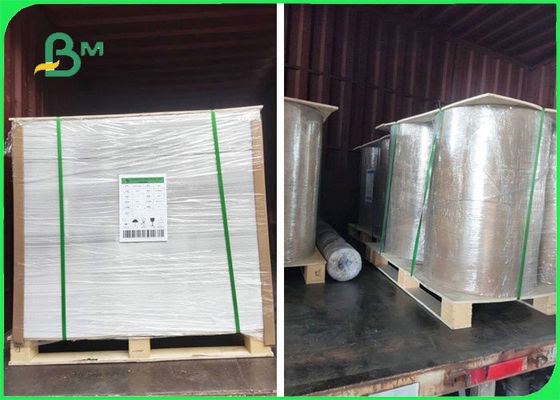 Bakire Odun Hamuru 130gsm 170gsm 200gsm C2S Mat Kağıt Baskı Poster Için