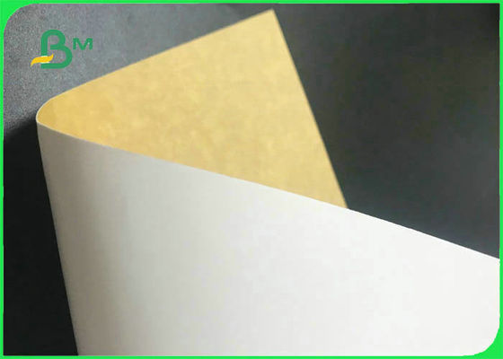 Çevre Dostu Beyaz Üst Kraft Geri 250gsm - Gıda Paketleri İçin 360gsm