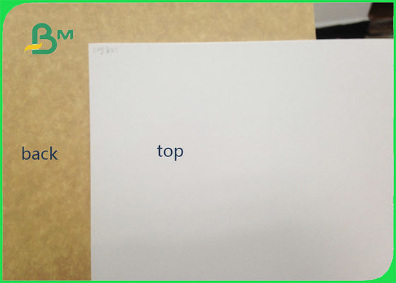 Ambalaj için 450gsm FSC Sertifikalı Kil Kaplı Kraft Geri Food Grade Kağıt Rulo / Beyaz Astar Kağıt