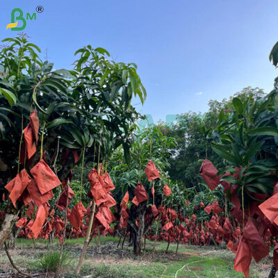 56g Tek Yan Balmumu Mango Büyütme Çantası için Kırmızı Ve Siyah Kağıt, Hava Duruma Dirençli Meyve Koruma Kağıdı