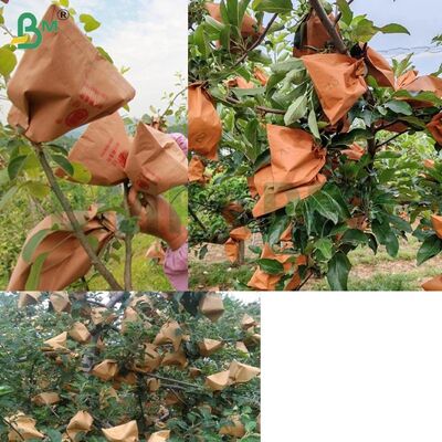 Kırmızı Dış Kağıt Meyve Ambalaj Kağıdı Elma Sarma İçin, 56gsm Mumsuz Elma Torbalama Kağıdı