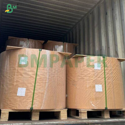 40gsm Renkli Gıda Sınıfı Cupcake Pişirme Kağıdı Rulosu