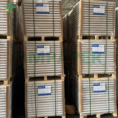 Yağ geçirmez beyaz kahve sarısı yeşil kek kalıbı muffin pişirme kağıdı