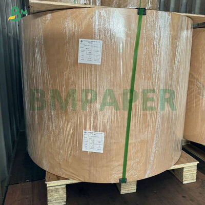 Yağ geçirmez beyaz kahve sarısı yeşil kek kalıbı muffin pişirme kağıdı