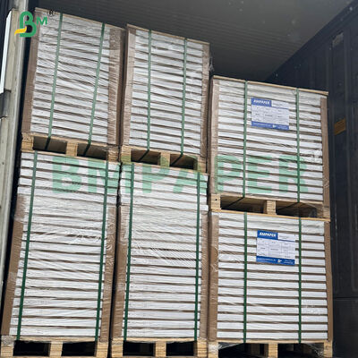 40gm Yüksek - Sıcaklığa Dirençli Cupcake Fırında Küçük Pasta Tabakları için Fırın Kağıdı