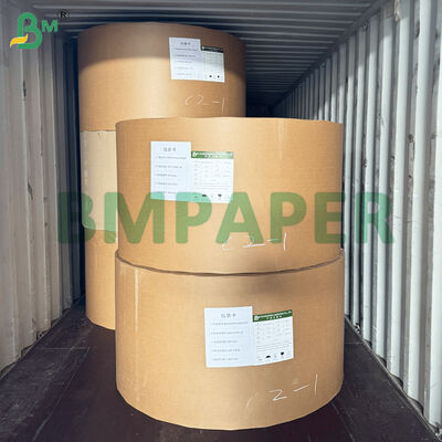 PET Kaplamalı Yemek Tabağı Kağıt Malzeme Beyaz Renk Gıda Tepsisi Kağıt