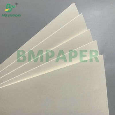 Biyo-degradasyonlu ve Mikrodalga Güvenli Kağıt Kartonları