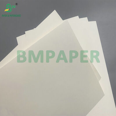 Biyo-degradasyonlu ve Mikrodalga Güvenli Kağıt Kartonları