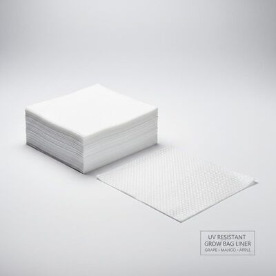 UV Dirençli Üzüm Mangosu Elma Büyüme Çuvallama Kağıdı İç Katman Liner