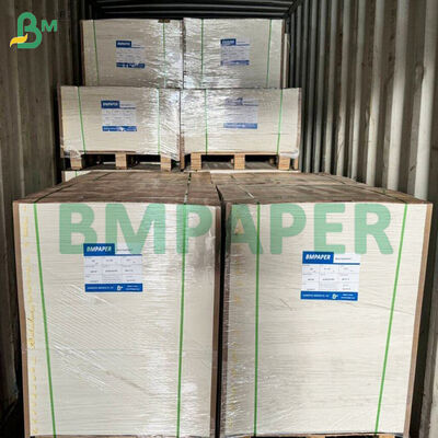 Mikrodalga - Kağıt Tabaklar, Bardaklar İçin Güvenli Gıda Kağıdı Kesilmeye Karşı Dayanıklı