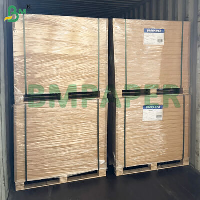 Mikrodalga - Kağıt Tabaklar, Bardaklar İçin Güvenli Gıda Kağıdı Kesilmeye Karşı Dayanıklı