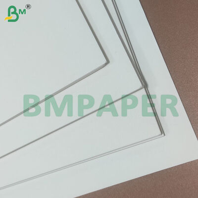 Double Side PE Coated Food Bowl Stock Paper Sheets Leak-proof