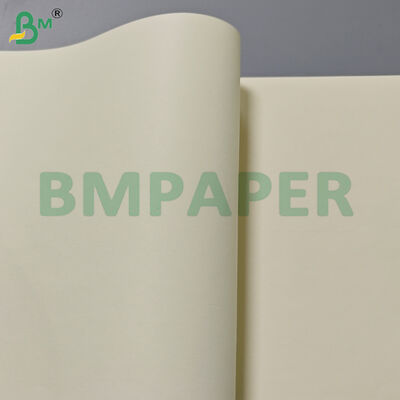 80gm kremli renkli kitap kağıt ruloları baskı için 715mm genişlik