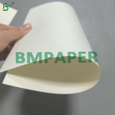 Tek Taraflı Su Bazlı Kaplamalı Bardak Kartonu Plastiksiz 170-320g Beyaz