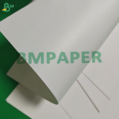 170gm 190gm Su bazlı Tek kaplı Cupstock Kağıdı Komposta edilebilir 650mm