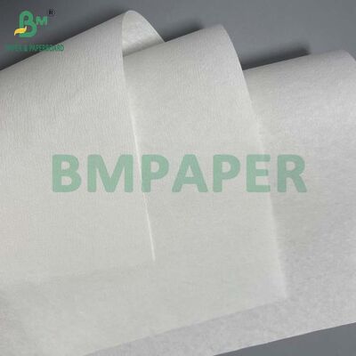 Good Wet Strength 50GSM 52GSM Food Contact Compliant Coffee Filter Paper
