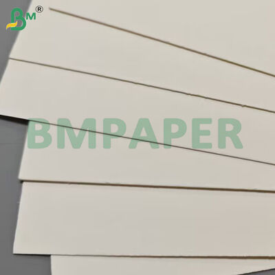 350gsm+15gsm PE Coated Bowl Stock Paper Rolls for Food Containers