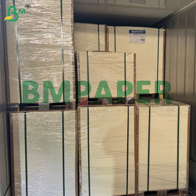 Gıda tabakası yapmak için 80-300 g biyolojik olarak ayrıştırılabilir şeker kamışı bagaş kağıt rulo