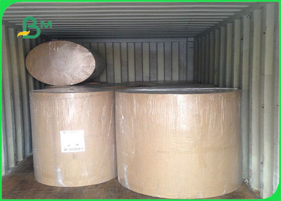 FSC 290g Gri Kurulu Yemek Kutuları Yapımı Için Genişlik 50 cm 60 cm 65 cm Bakire Hamuru