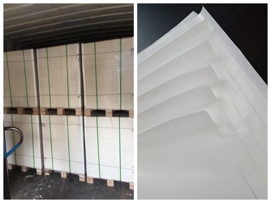 Bir Taraf PE Öğle Yemeği Kutusu FSC ve FDA Belgeli İçin Gıda Sınıfı Kağıt Rulo Kaplı