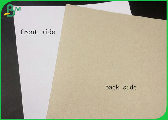 FSC Sertifikalı Kaplamalı Çift Yönlü Tahta Beyaz Taraf, Gri, Büyük Rulo Ambalajında ​​Geri