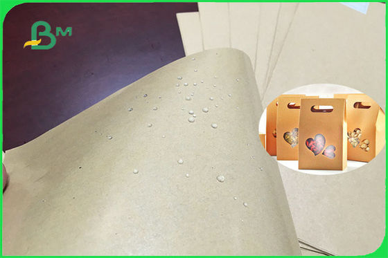 300gsm 350gsm PE Kaplamalı Kağıt Levha FSC FDA için Tek veya Çift Taraflı