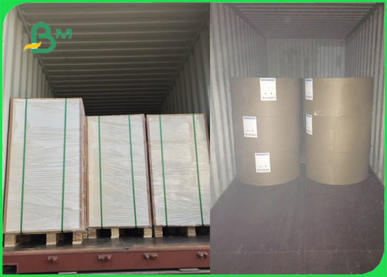 250gsm 270gsm 300gsm Beyaz C1S Fildişi Kurulu Fold One Side Coated FSC Sertifikalı