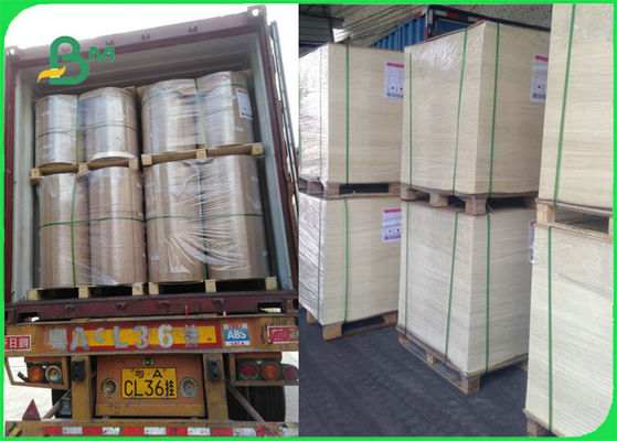 FDA FSC Sertifikalı Gıda Için Güvenli Isıya Dayanıklı Pişirme Kağıt Izgara Pişirme BARBEKÜ