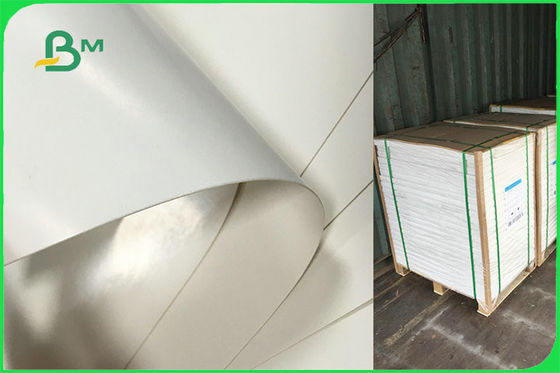 Tek Kullanımlık Tabaklar İçin Özelleştirilmiş Tek Taraflı PE Kaplamalı Kağıt FSC FDA Onaylandı