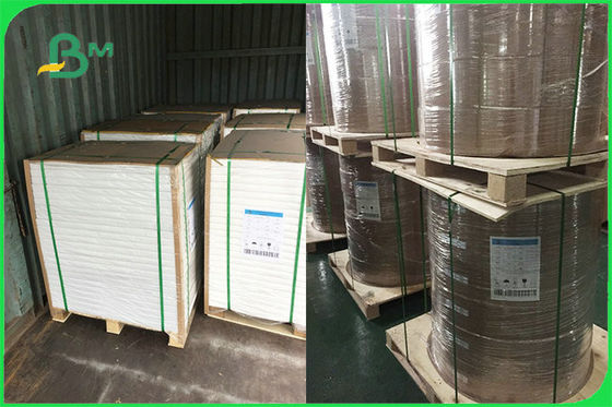 Tek Kullanımlık Tabaklar İçin Özelleştirilmiş Tek Taraflı PE Kaplamalı Kağıt FSC FDA Onaylandı