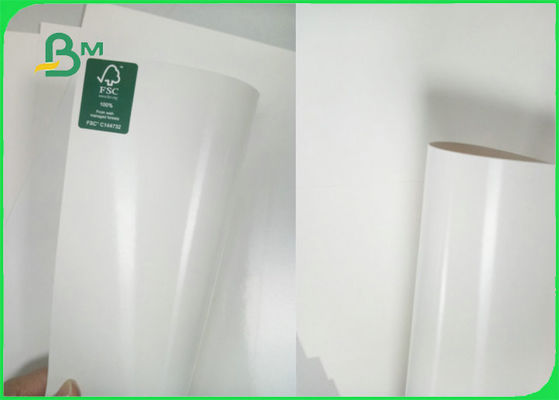 FSC C1S Fildişi Kurulu Poli Kuşe Kağıt 300gsm + 15g PE 70X100 cm Fincan Yapımı Için