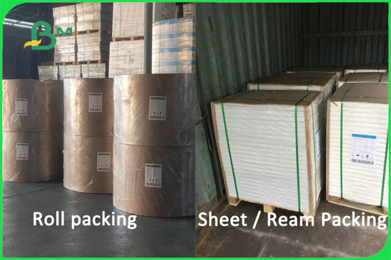 % 100 Virgin Hamuru Biyobozunur Kaplanmamış Kağıt Bardak Malzemesi 170-300gsm FDA FSC