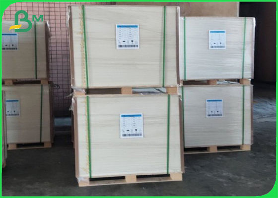 Tamamen Yenilenebilir PE Kaplama Cupstock Kağıt Kaplı Polietilen 210g+10g