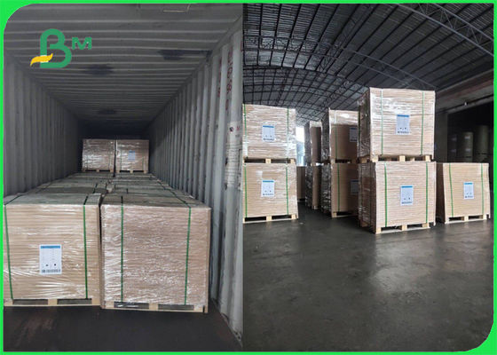 FSC Broşür Pürüzsüz İçin 70g 80g Beyaz Woodfree Kağıt Rulo Onayladı