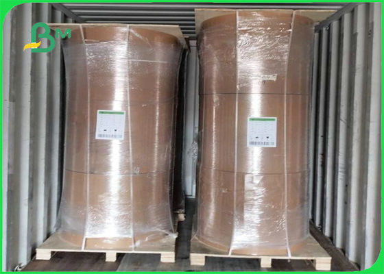 Gıda Ambalajı İçin Biyobozunur 300gsm + 15g PE Film Kraft Kurulu