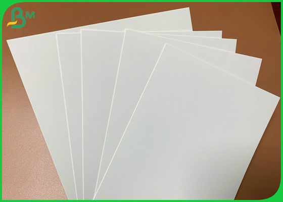 Kozmetik Ambalaj Kutusu Yapımı İçin 610 x 900mm CardBoard GC1 355gsm