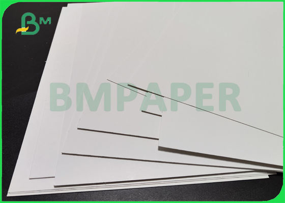 295gsm 325gsm C1S FBB Bisküvi Kutusu İçin Gıda Tahtası İyi Sertlik 25'' x 37''