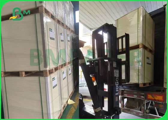 295gsm 325gsm C1S FBB Bisküvi Kutusu İçin Gıda Tahtası İyi Sertlik 25'' x 37''