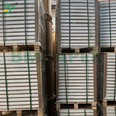 C2S Dergi için çift taraflı parlak kağıt levhaları 787mm*1092mm