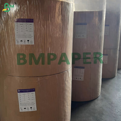 170gm 190gm Su bazlı Tek kaplı Cupstock Kağıdı Komposta edilebilir 650mm