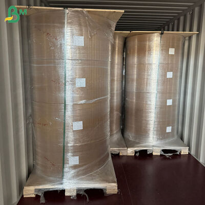 Pipet Sarma İçin 50 gsm + 10 g PE Kaplamalı Kahverengi Kraft Liner 80cm 90cm