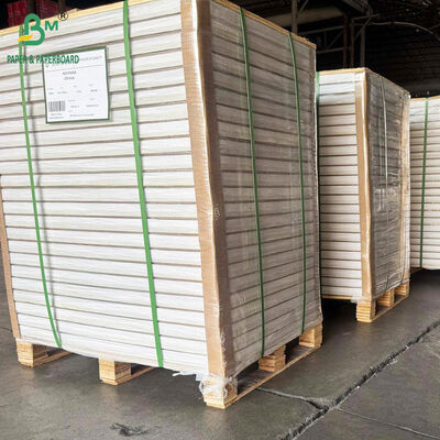 350gm 400gm Yüksek Kalınlık Parlak Beyaz Kaplama Yok Kapak Ahşapsız Kağıt Yaprakta