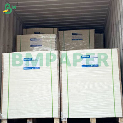 Gıda Kapları İçin 350gsm+15gsm PE Kaplamalı Kase Stok Kağıt Ruloları