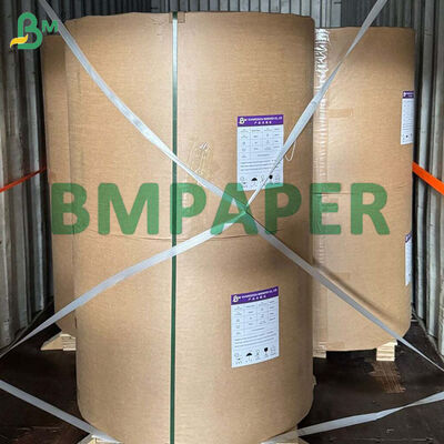 Gıda tabakası yapmak için 80-300 g biyolojik olarak ayrıştırılabilir şeker kamışı bagaş kağıt rulo