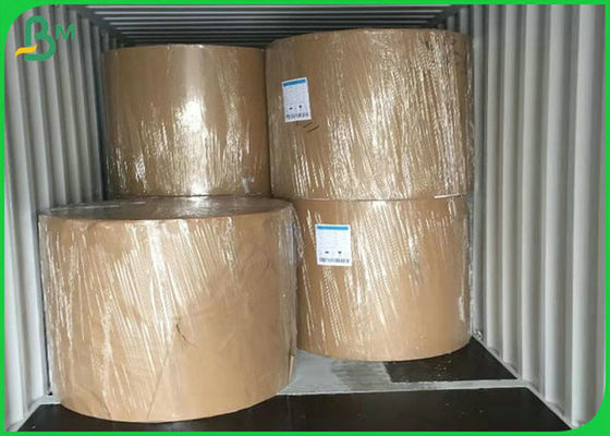 Öğle Yemeği Kutusu Yapımı İçin Çevre Dostu Malzeme 300G PE Kuşe Kağıt